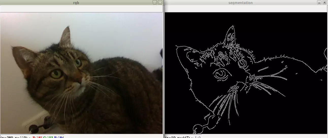 My cat, helping me tune edge detection